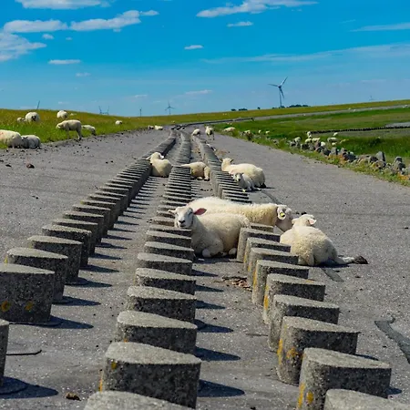 Sommerwind Neßmersiel