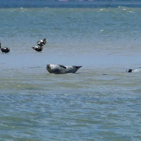 Casa de Férias Sommerwind *