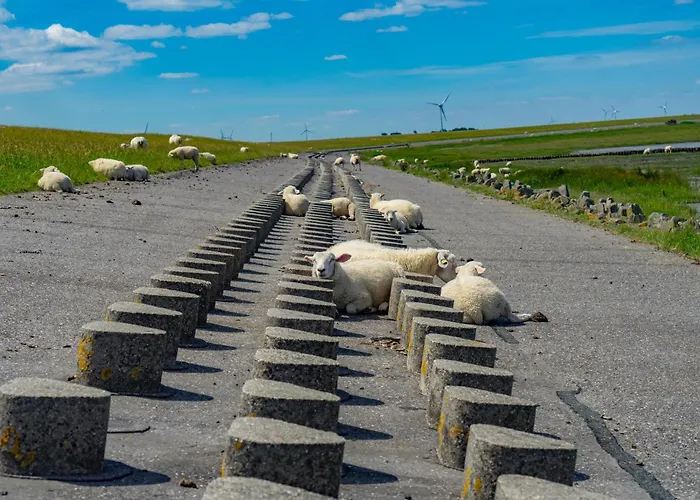 Sommerwind Дом отдыха *